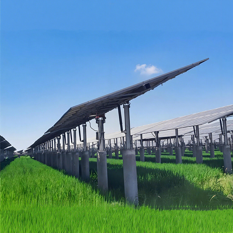 Ground Solar Mounting Brackets voor engineeringprojecten