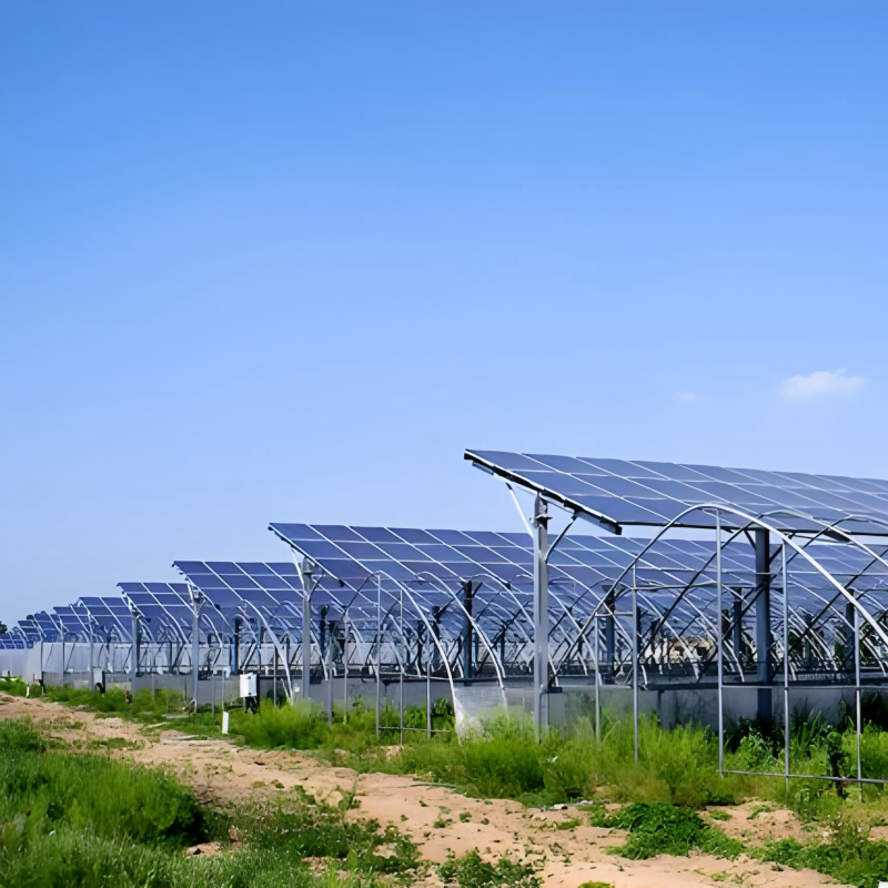 Kosten-efficiënte op de grond gemonteerde zonne-installatiebeugels voor grootschalige projecten, langdurige betrouwbaarheid